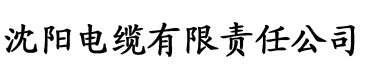 91香蕉视频呜呜版电缆厂logo